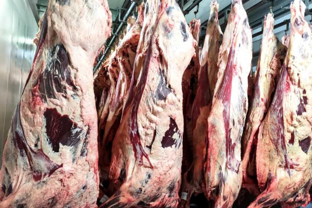 Женщина, из-за которой в Воронежской области появилась сибирская язва, признала вину