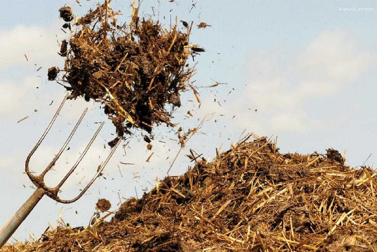 Секретная служба США ищет мужчину, бросившего навоз к дому советника Байдена, на место ЧП выезжали саперы