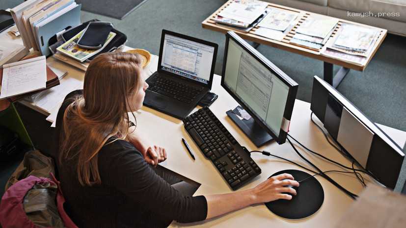 Эксперт назвал пять главных профессий на удалённой основе