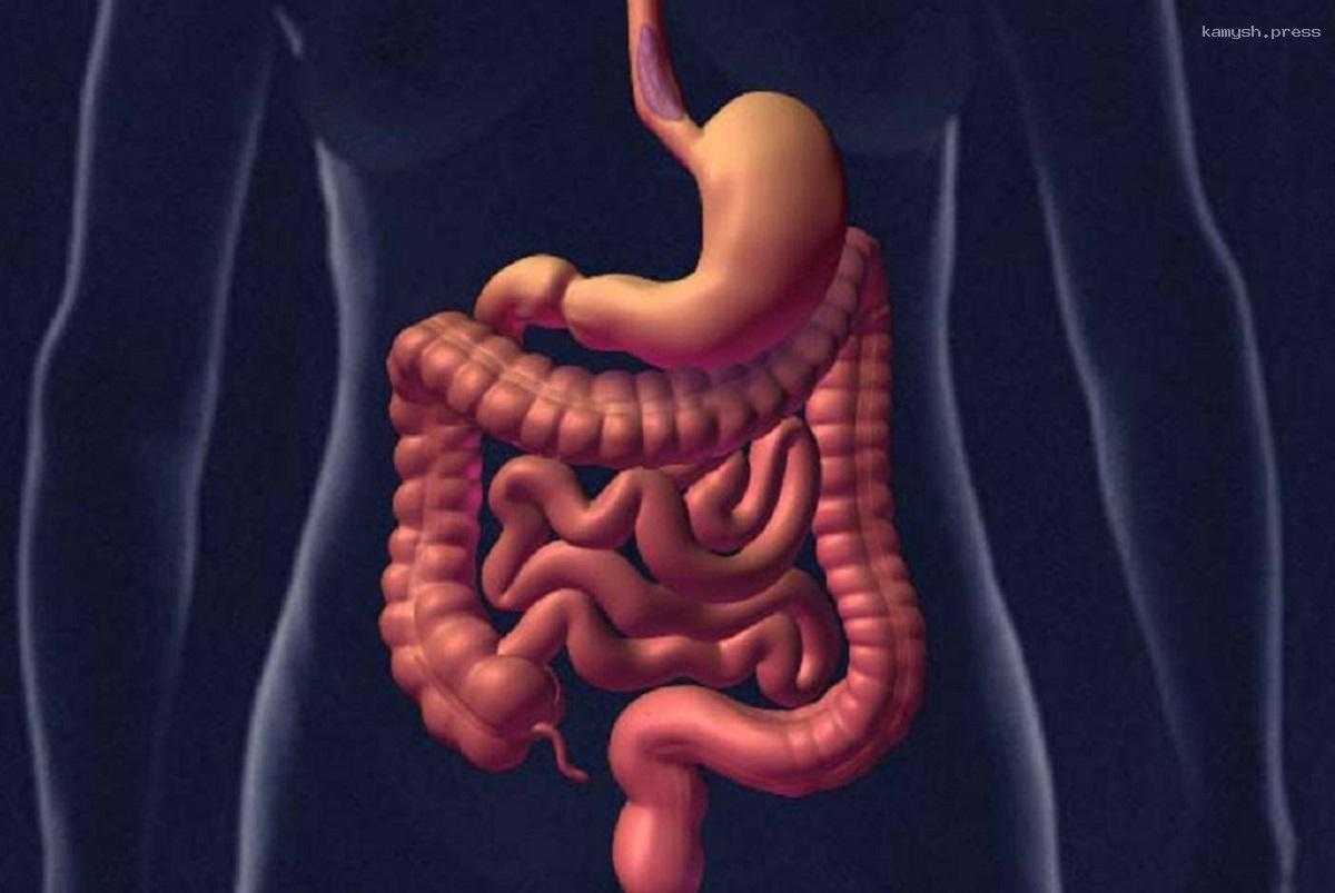 Онколог назвала необходимые продукты, чтобы кишечник эффективно работал, а также посоветовала меньше нервничать