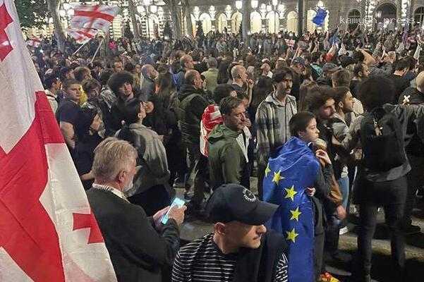 Сотрудники МВД Грузии задержали двух человек на митинге в Тбилиси