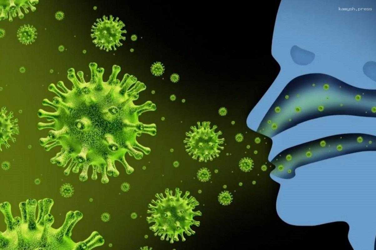 Роспотребнадзор назвал вирусы, которые циркулируют в Карелии