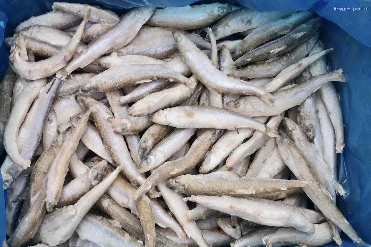 Жителям Санкт-Петербурга объяснили, с чем связано удорожание корюшки