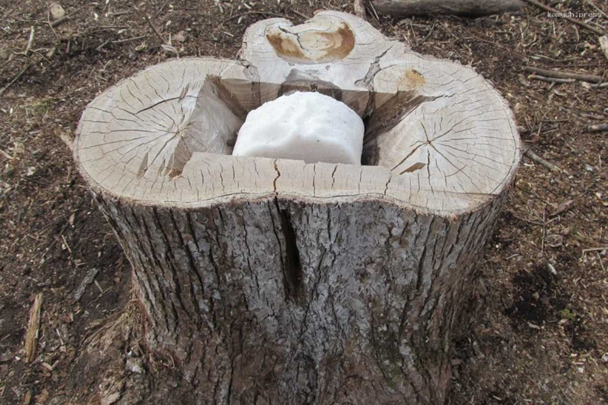 В Пензенской области готовят соль для диких животных