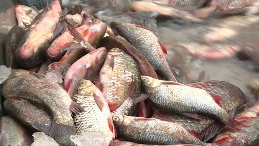 В Астрахани на ярмарке всего за несколько часов был поставлен рекорд по продажам рыбы