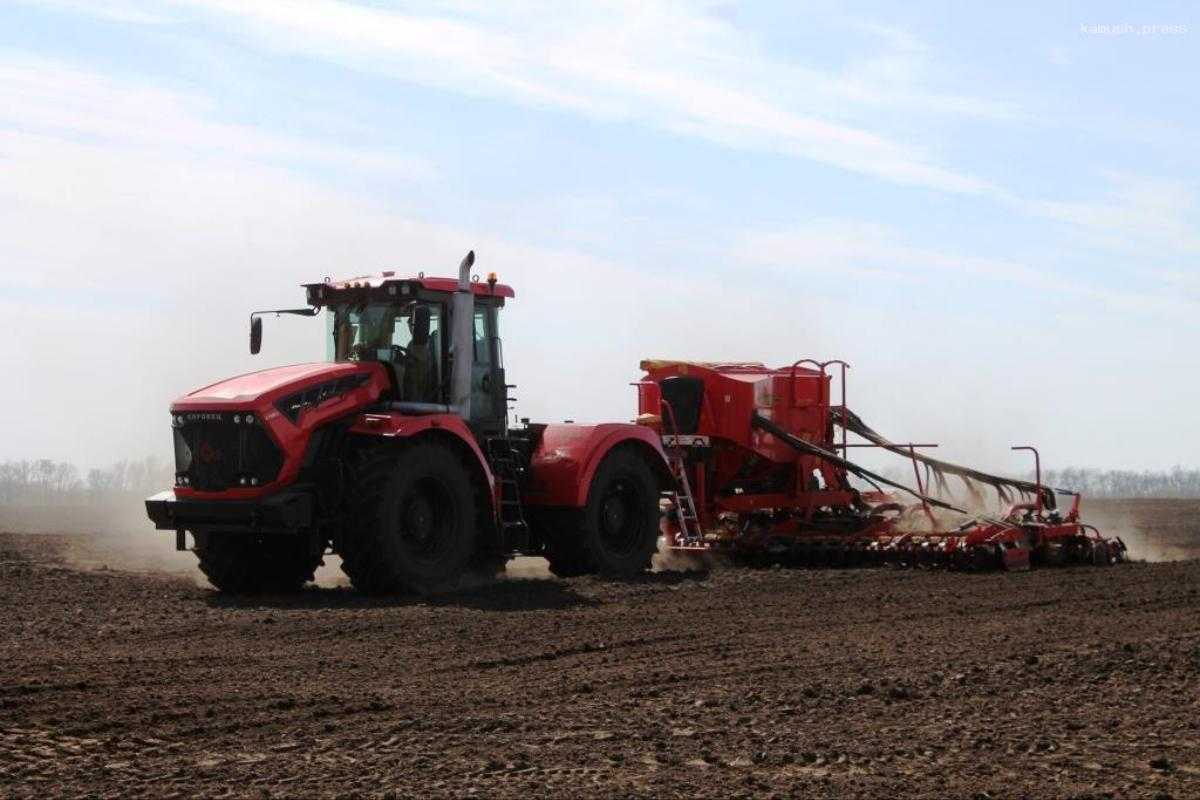 Брянская область вошла в пятёрку регионов – сельхозлидеров России