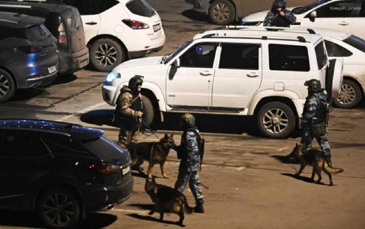 На территории «Крокуса» работают кинологи с собаками