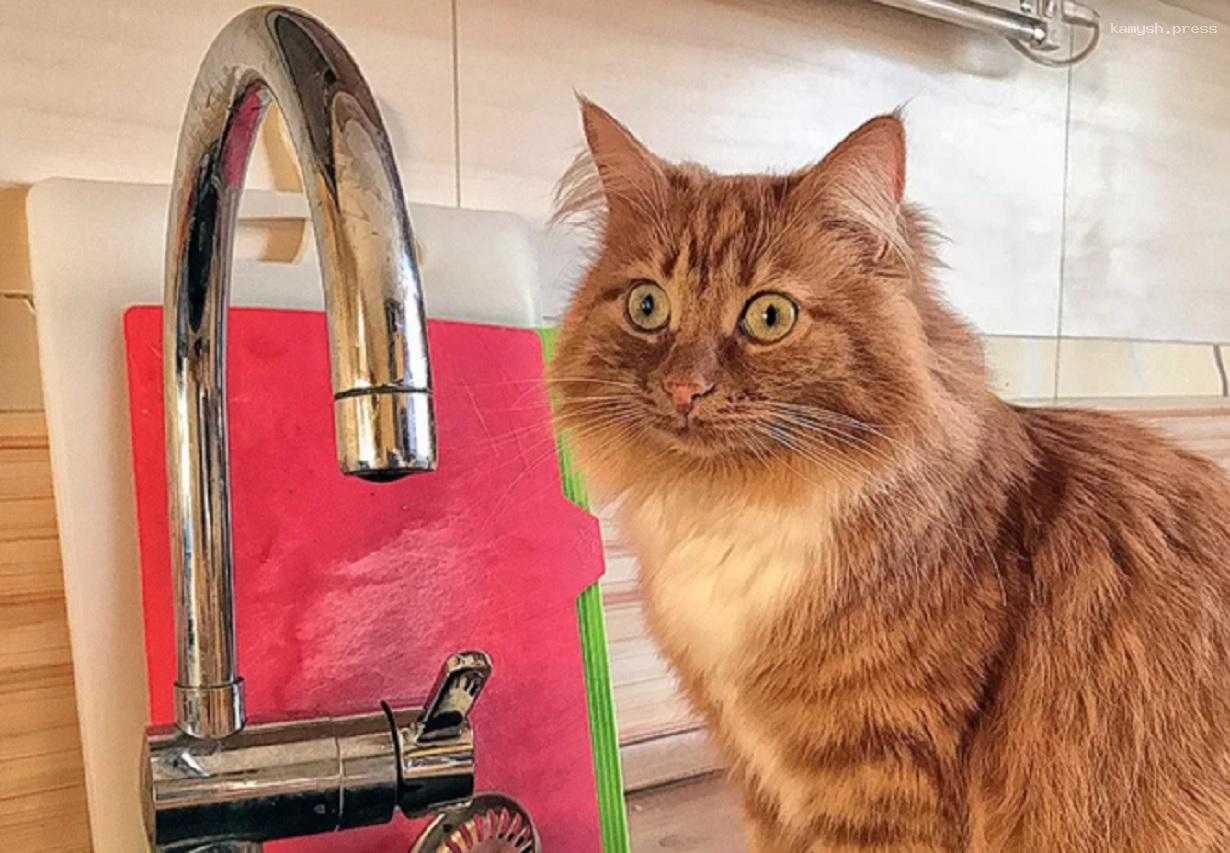 Больше 10 тысяч жителей Лыскова остались без воды из-за коммунальной аварии