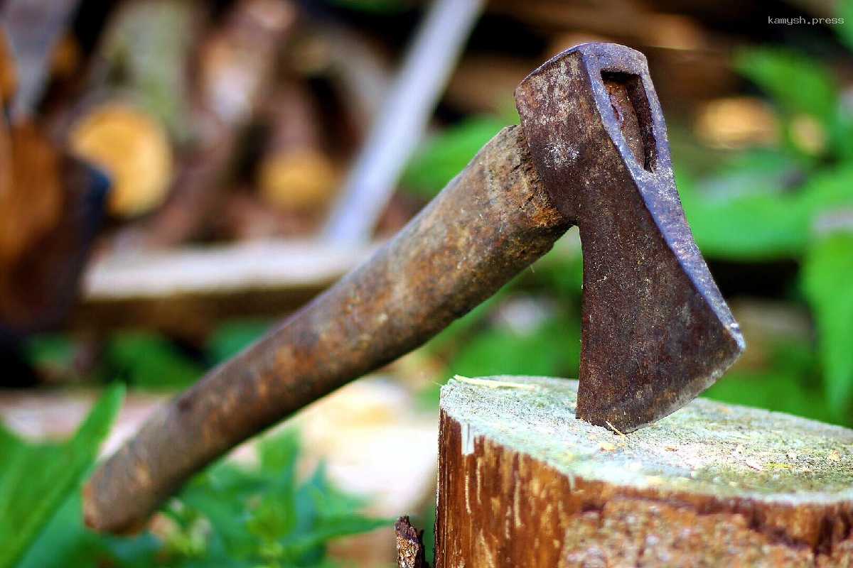 Житель КБР незаконно нарубил деревьев на 1,1 млн рублей