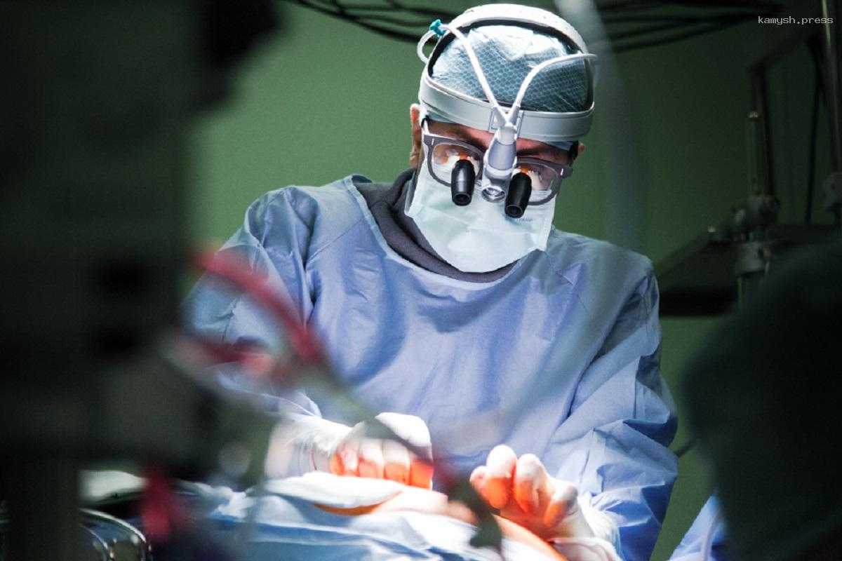 Первый в РФ самораскрывающийся протез для легочных артерий детей испытали на мини-пигах