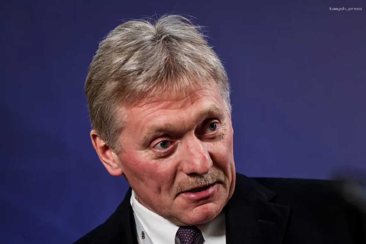 Песков уточнит, получал ли Путин письмо от Амхерд