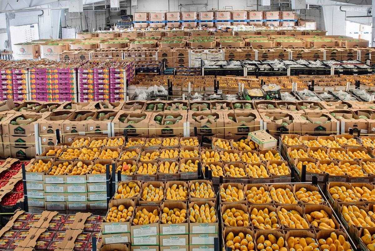 В Псковской области появятся распределительные центры продовольствия для фудшеринга