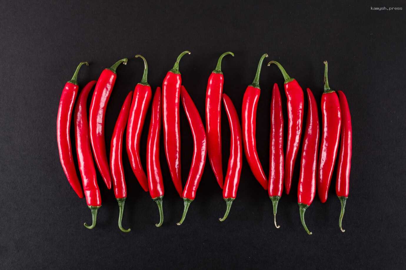 Диетолог отметила неоднозначное влияние на организм острой пищи