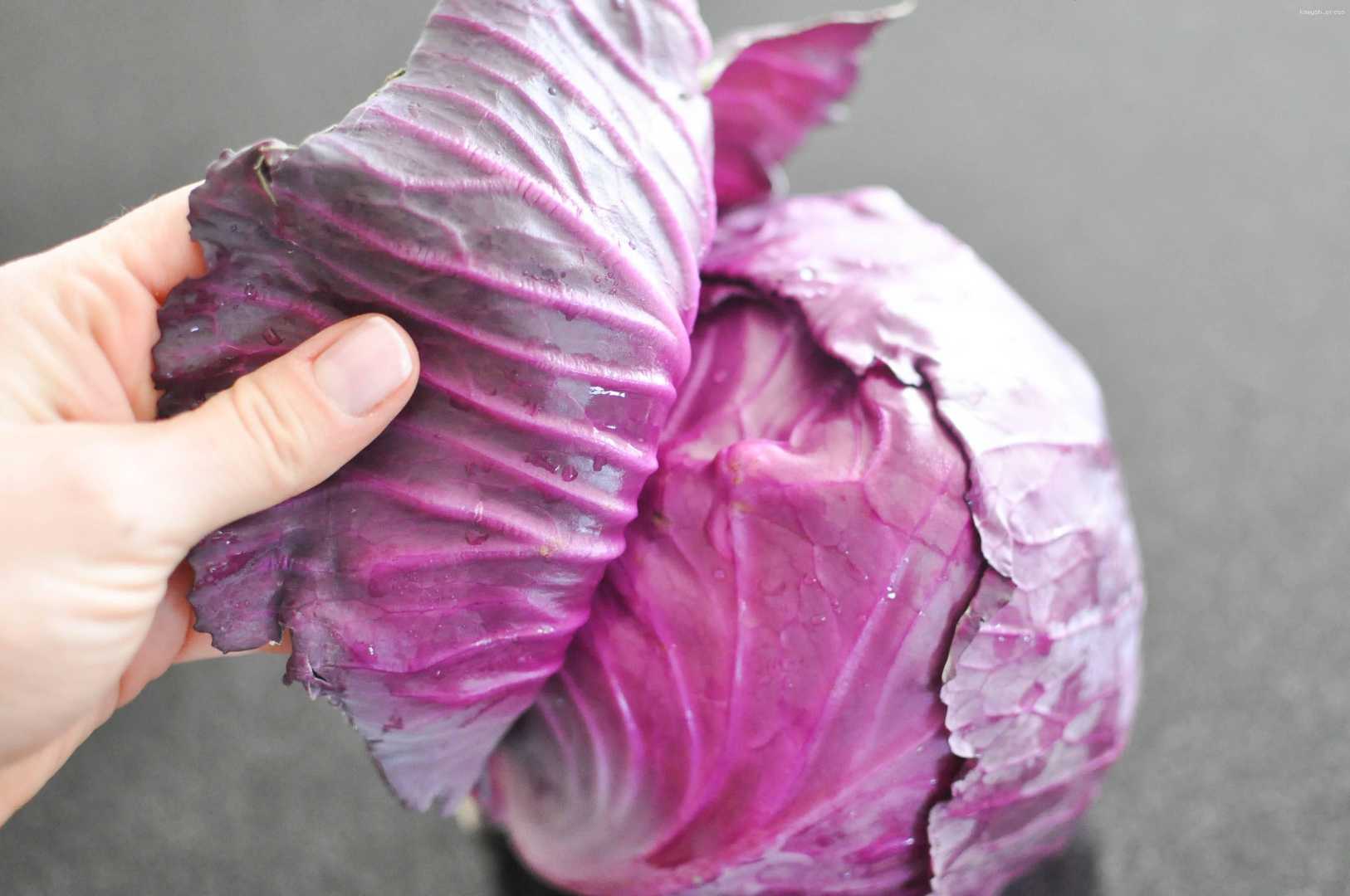 Эндокринолог Павлова озвучила полезный для кишечника овощ