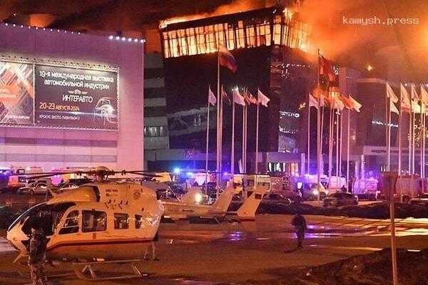 Александр Хинштейн разъяснил регламент пользования оружием охранниками «Крокуса»