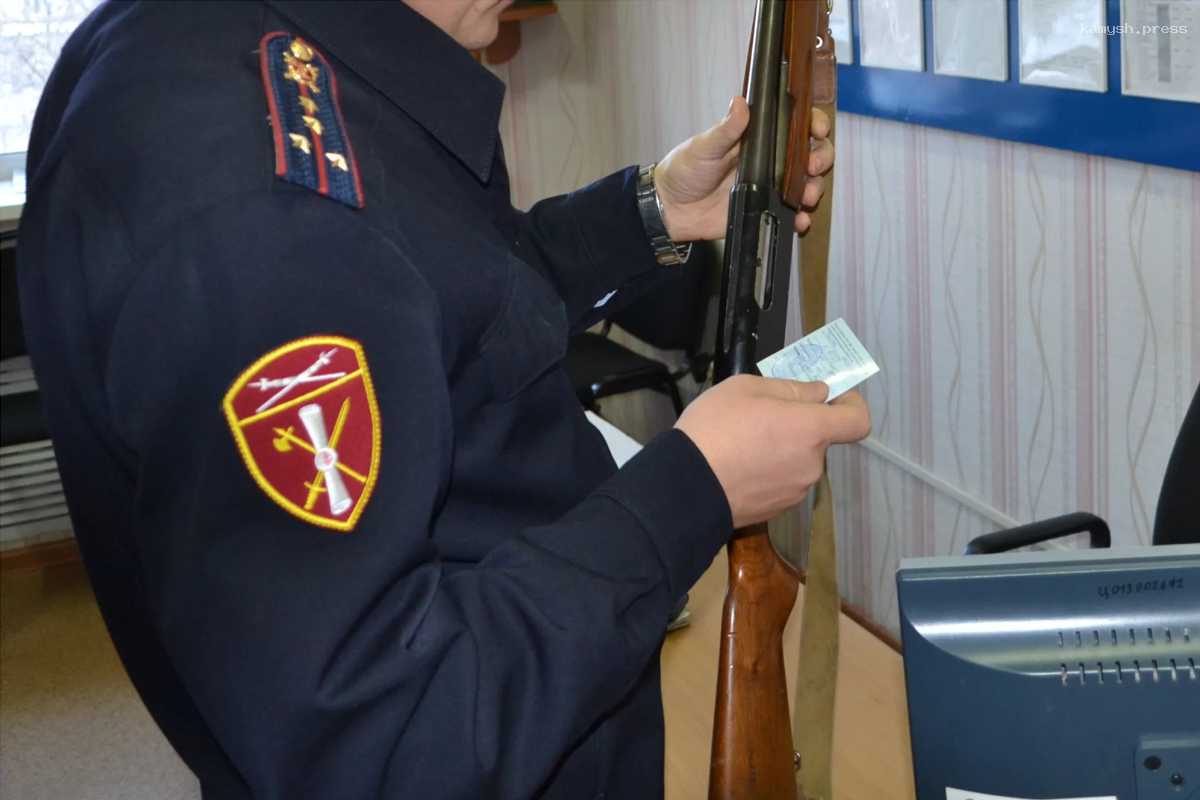 Жители ЕАО лишились 91 единицы оружия из-за нарушения закона