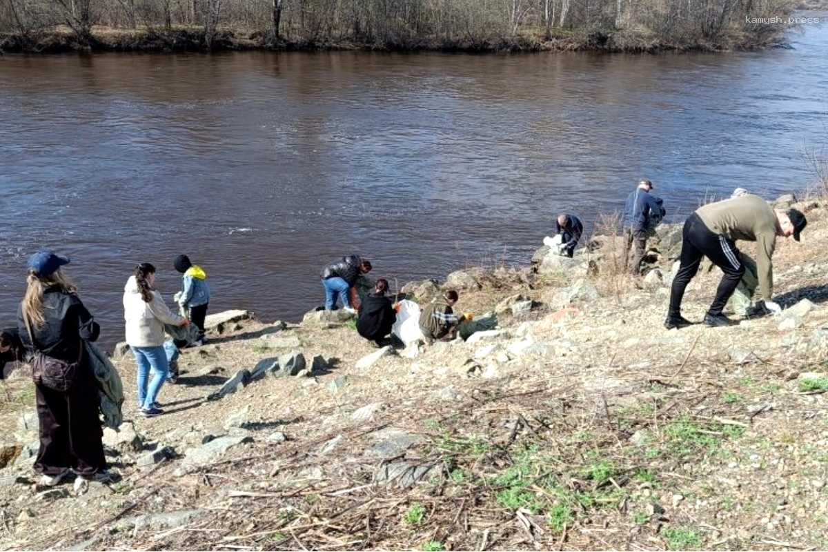 В Биробиджане к плоггингу на экологическом фестивале присоединились более 50 человек