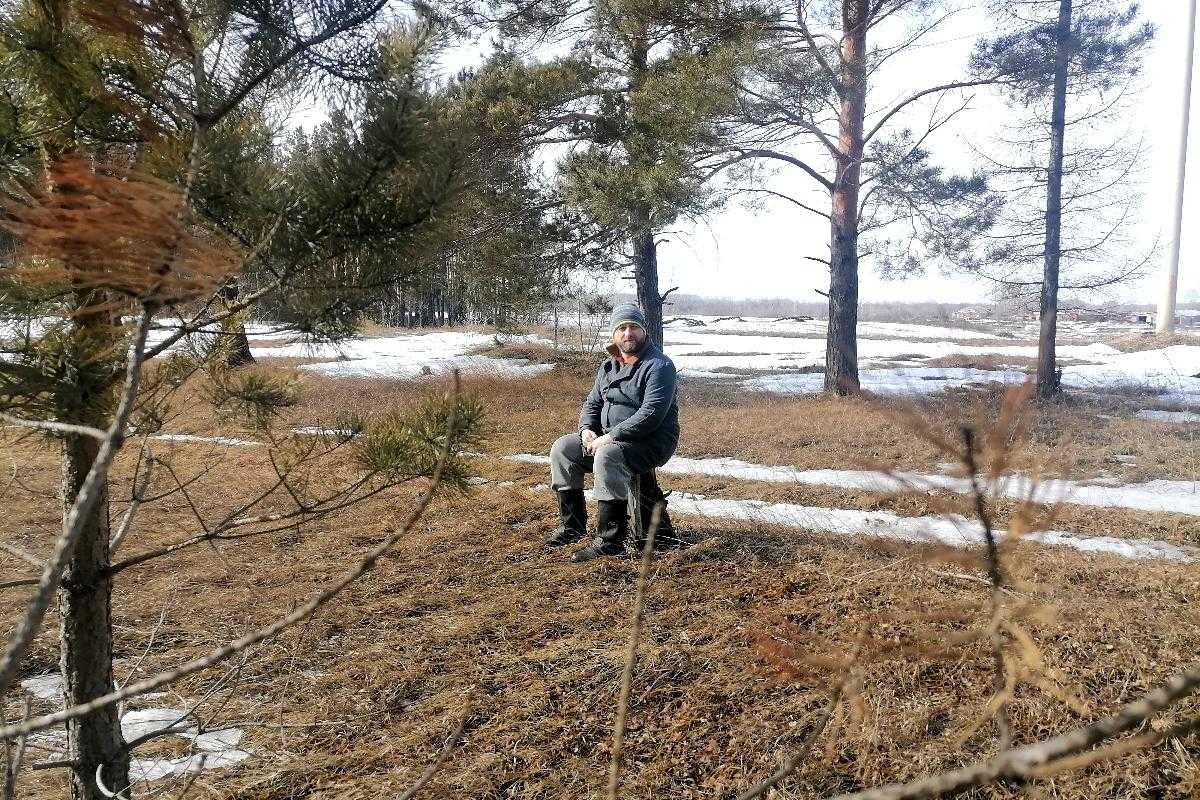 Найдено объяснение странному лесному феномену