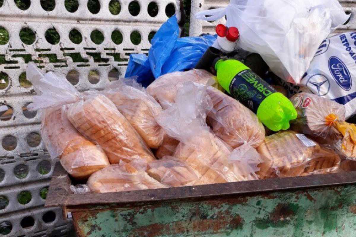 Просроченные продукты, одобренные экспертами, могут стать кормом для животных