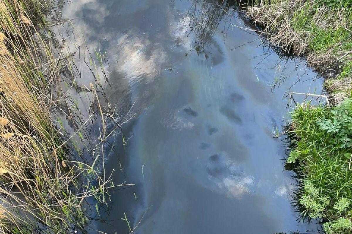 В Курске выясняют, кто испортил воздух у реки Тускарь