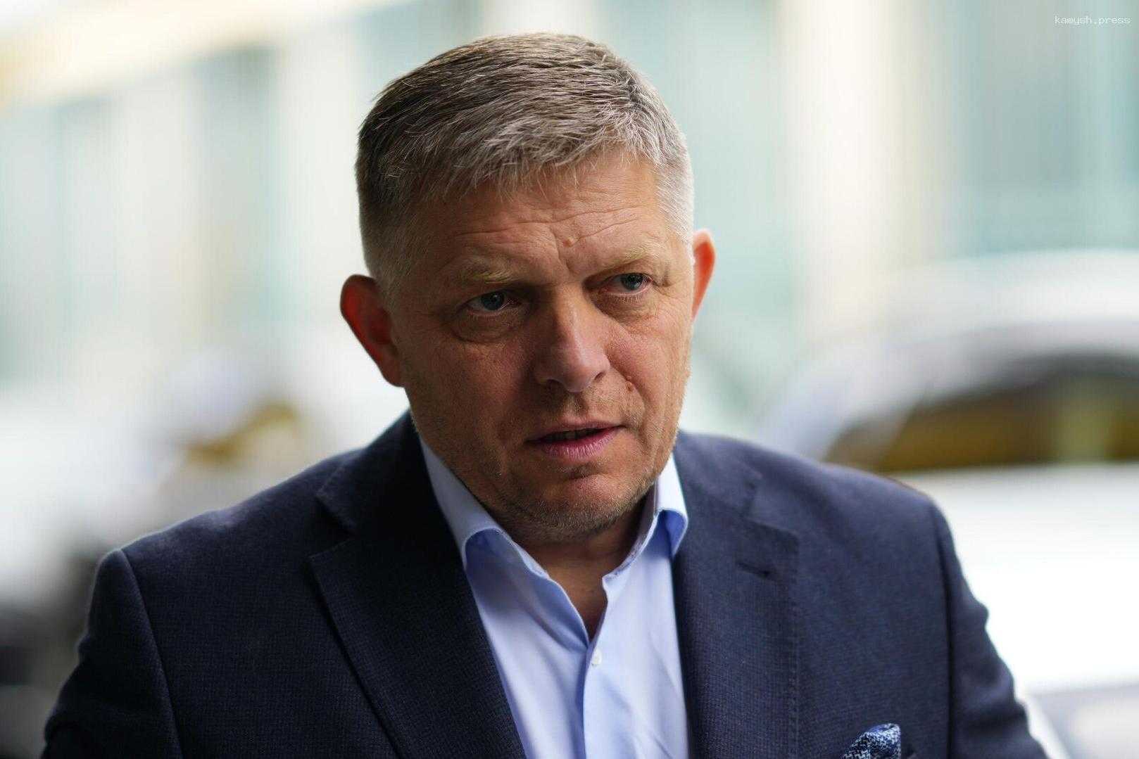 Фицо не исключил возможность наказания Западом Словакии за избрание Пеллегрини президентом