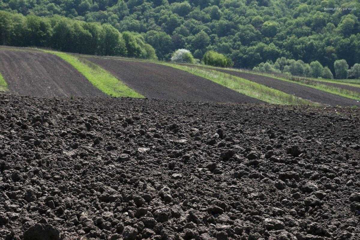 Стало известно, как легко повысить плодородность почвы