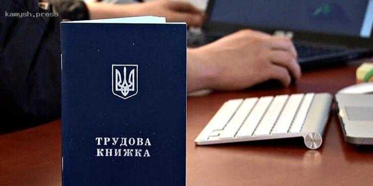 В ПФУ назвали два типа безработицы, которые учитываются как трудовой стаж