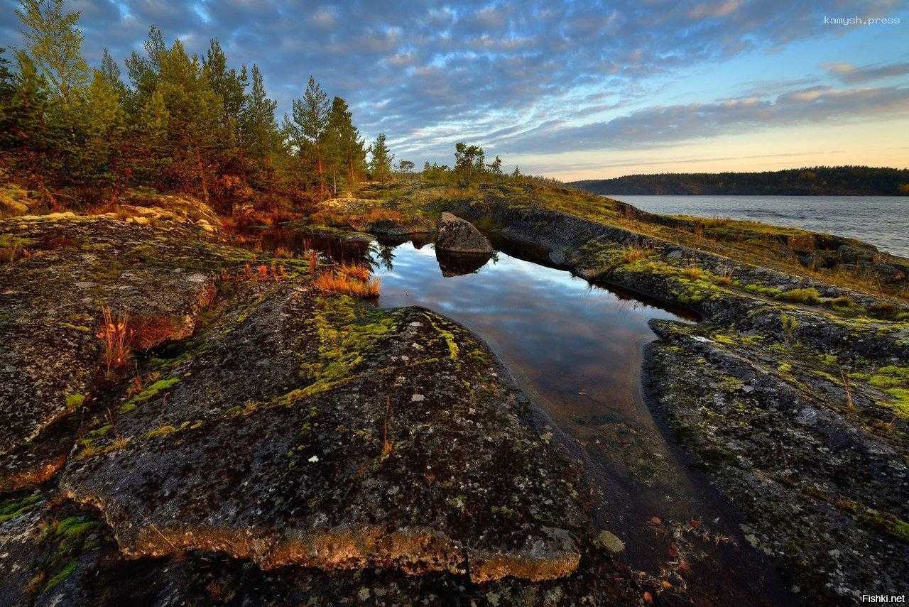 Эколого-просветительский маршрут «Вепсская тропа» создается в Нижне-Свирском государственном заповеднике