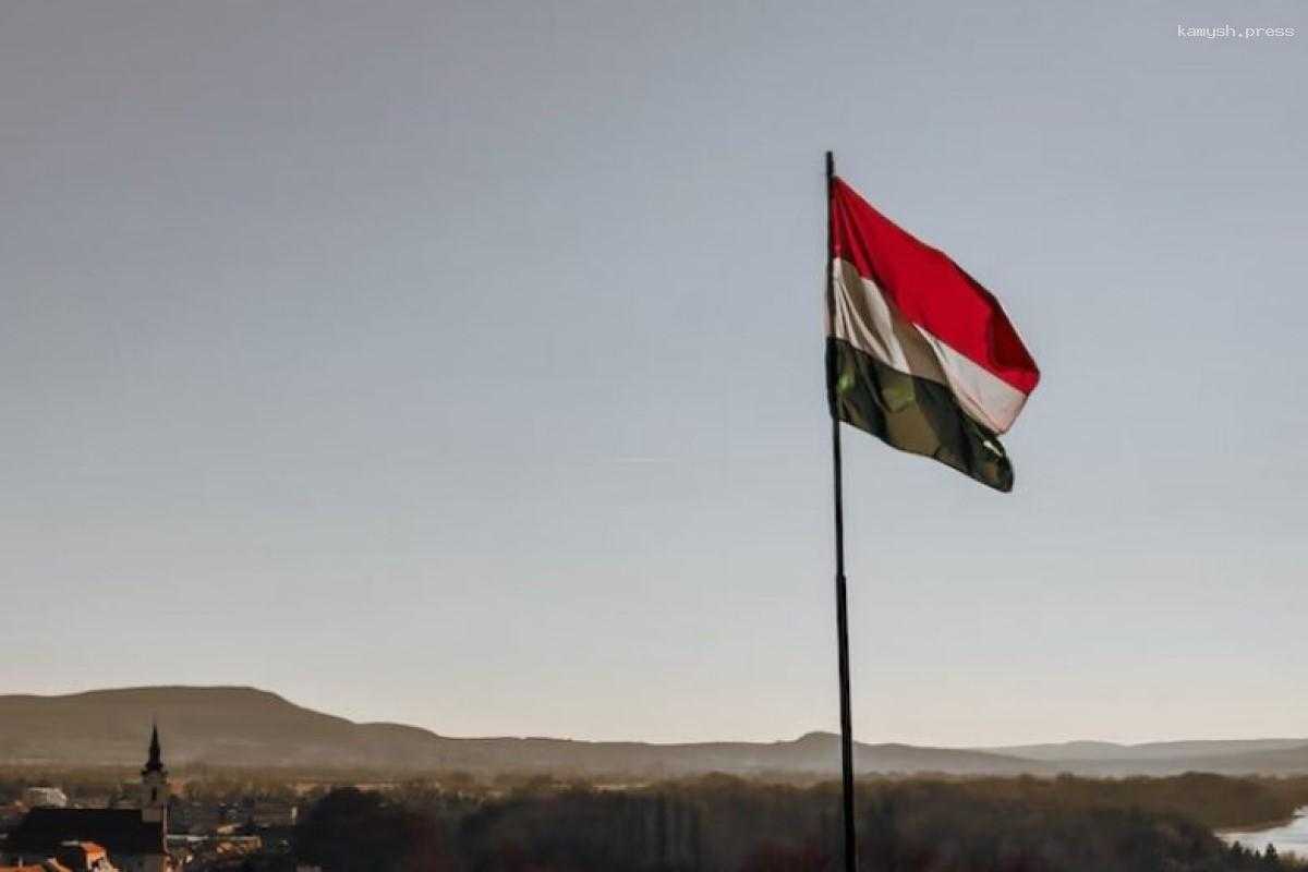 Мужчины, сбежавшие в Венгрию, являются полицейскими и сотрудниками СБУ