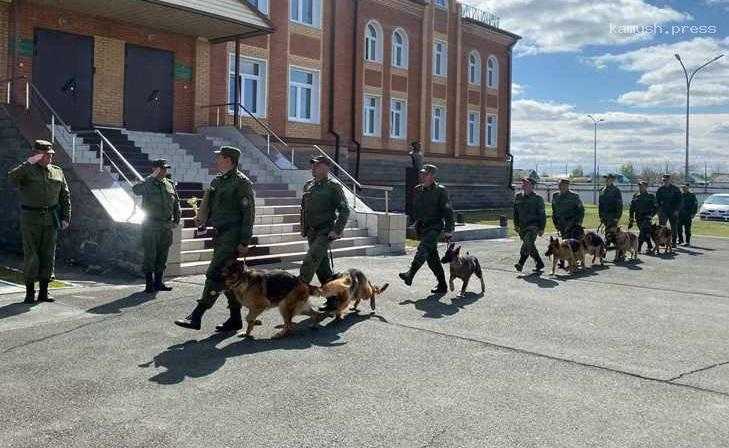 В Новосибирской области среди кинологов Пограничного управления ФСБ выбрали лучших