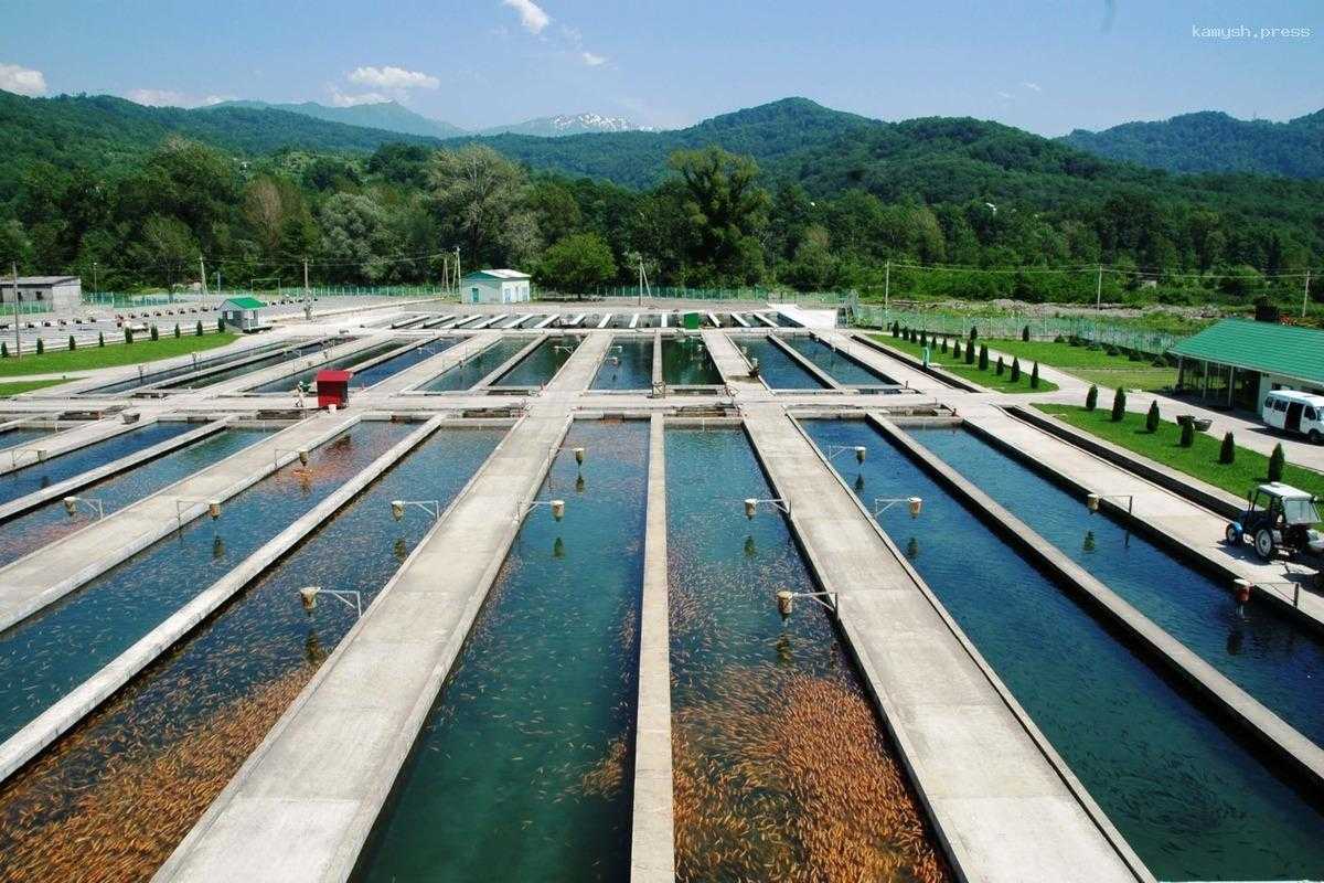 В Карелии построят завод за 1,6 млрд рублей