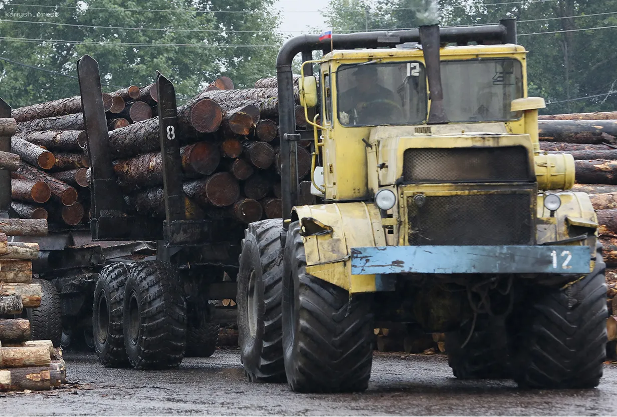 Осуждены фигуранты дела о вырубке здорового леса в Подмосковье