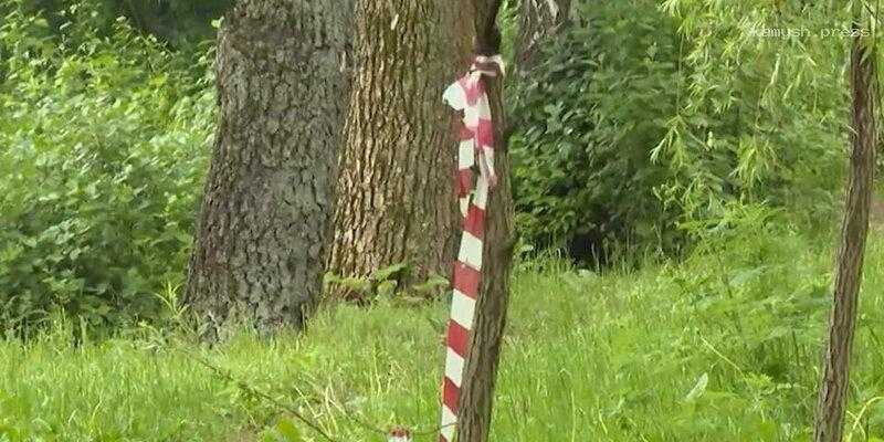 Предполагаемый убийца мужчины в московском парке «Кусково» написал явку с повинной