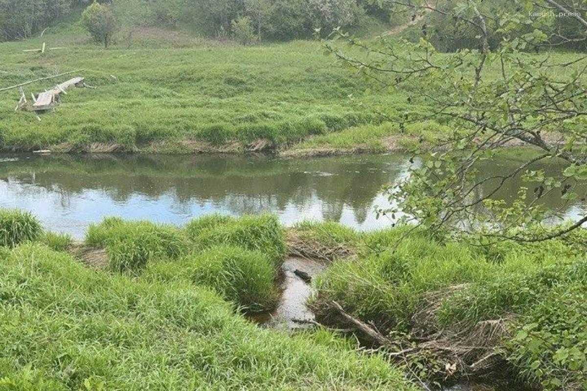 В Минприроды Смоленской области поступил сигнал о речном ЧП