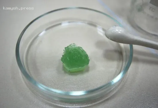 Ученые раскрыли секрет удивительного растяжения одноклеточного организма