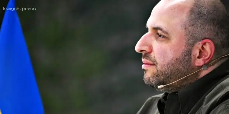 В НГУ продемонстрировали эффективность «работы» FPV-дронов по армии Путина (ВИДЕО)