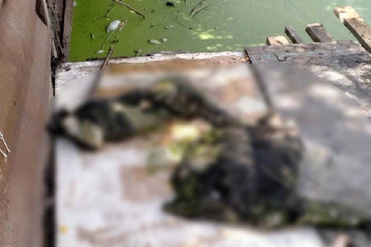 В водоеме в Новой Москве найдены останки человека, СКР начал доследственную проверку