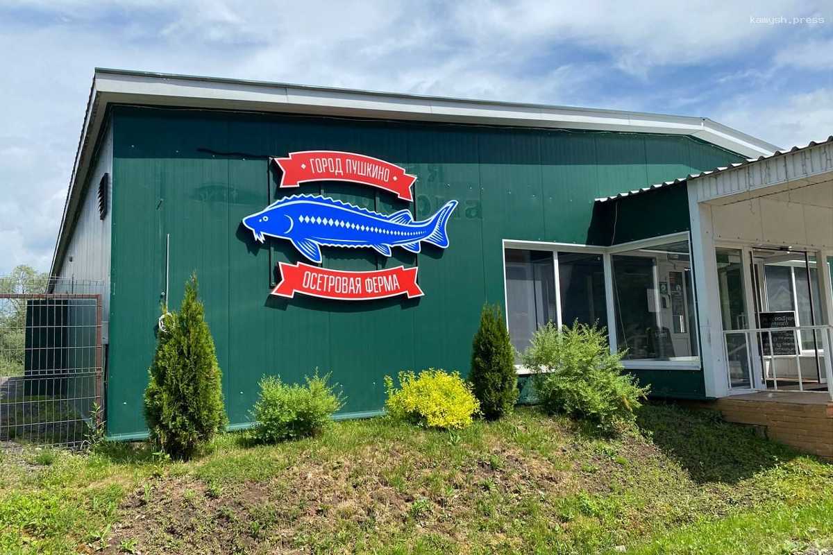 Осетровой ферме из г.о. Пушкинский компенсируют утраченную землю