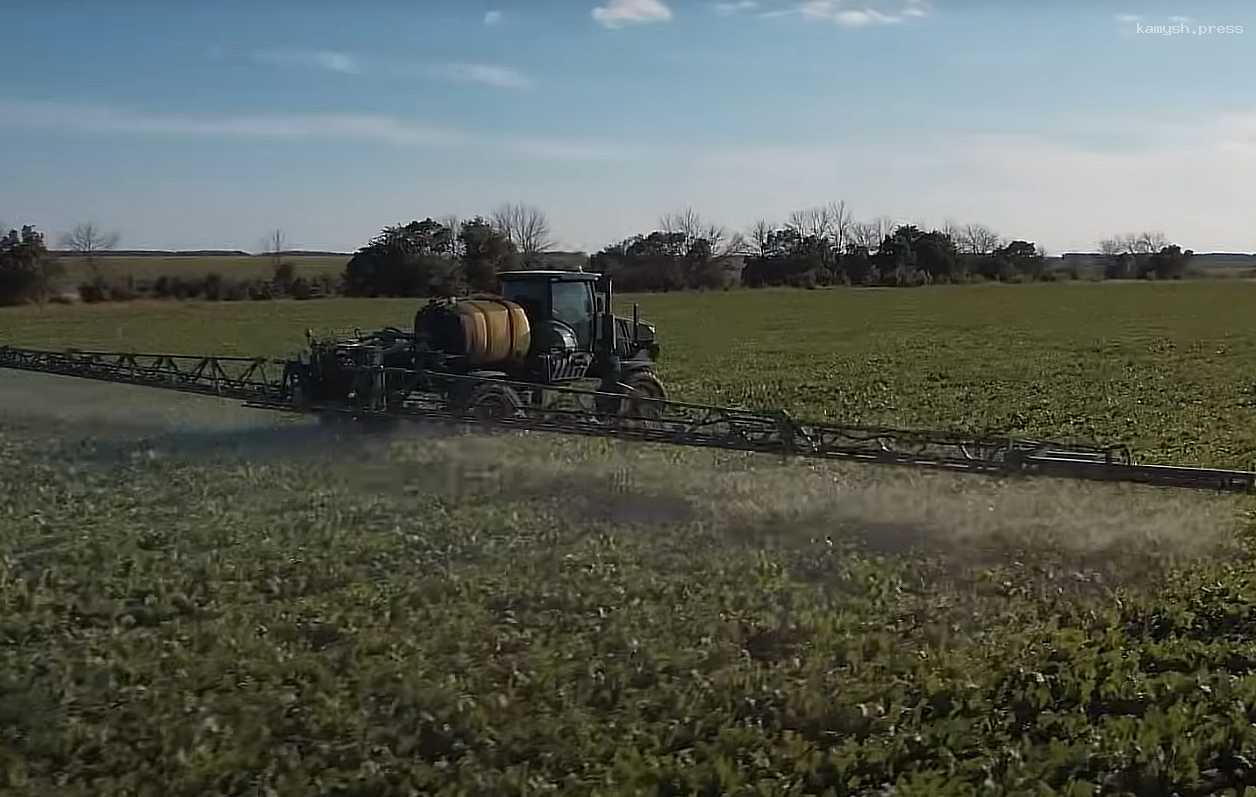 «Проблемный» партнер белгородского свинокомплекса стал еще ближе к нему
