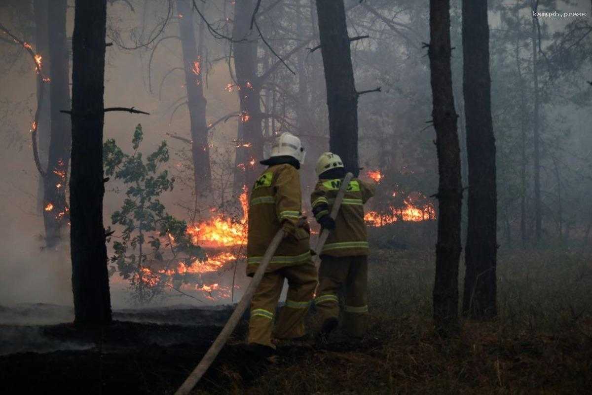 Пожар в ЛНР не могут потушить вторые сутки