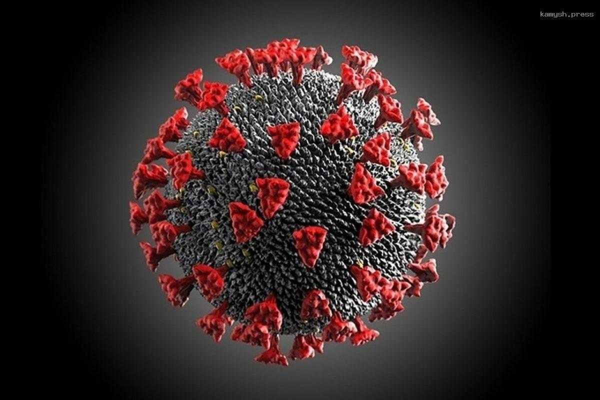 Жители Томской области напуганы появление нового штамма коронавируса FLiRT