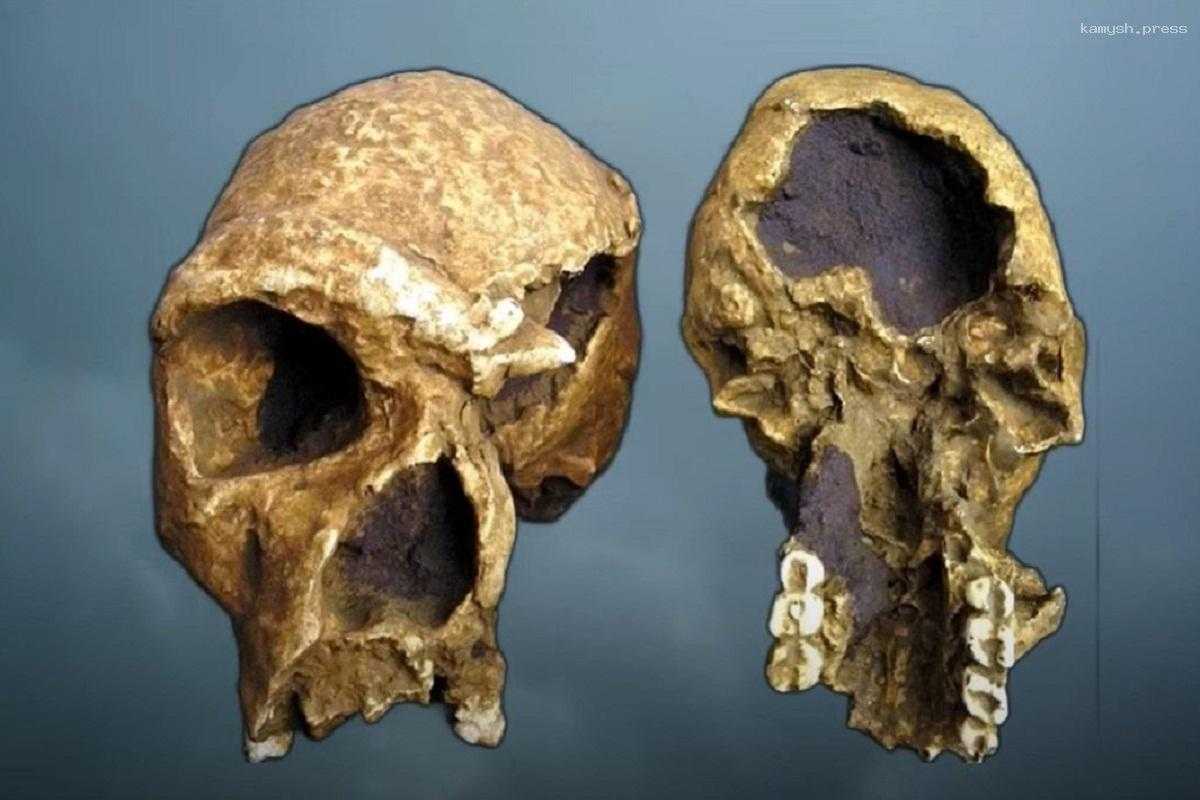 Египтяне начали лечить рак 4000 лет назад