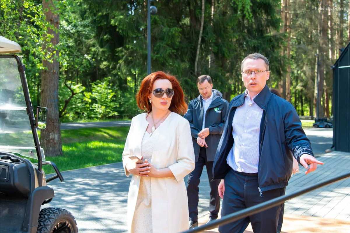 Михаил Хайкин осмотрел Шишкин лес в г.о. Истра