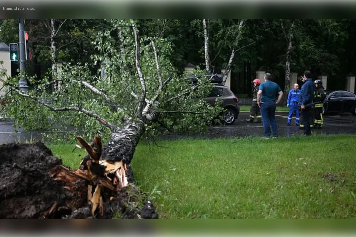 Сильные ветра и ливни в Москве обернулись массовыми разрушениями