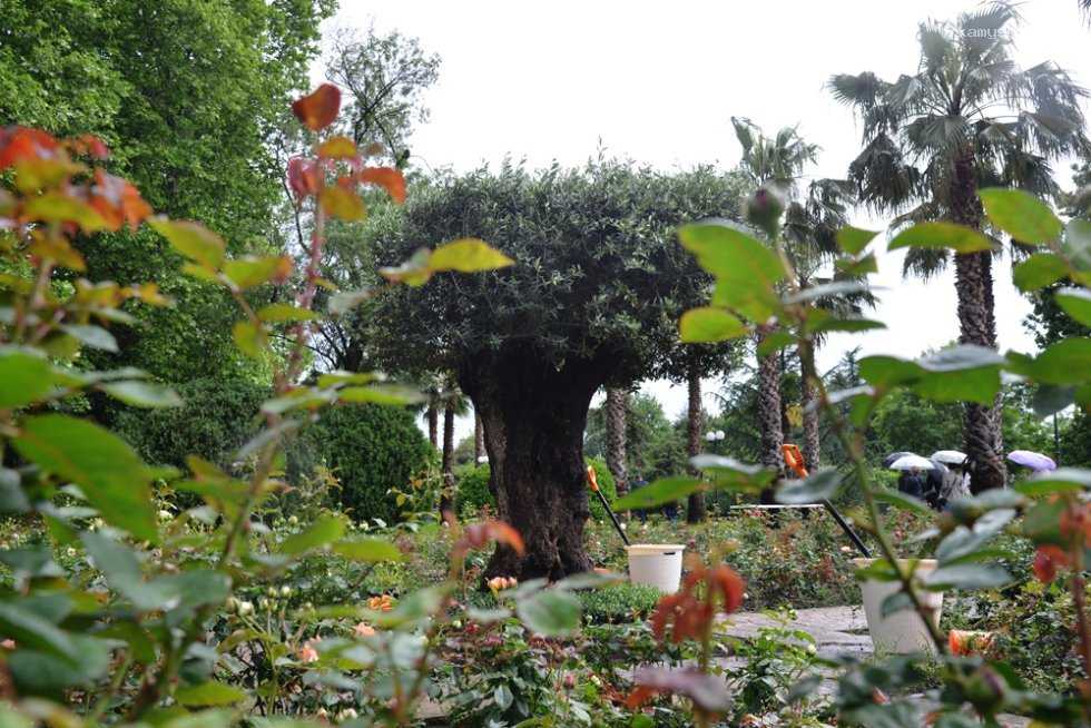 Стали известны первые итоги ПМЭФ-2024 для Кубани