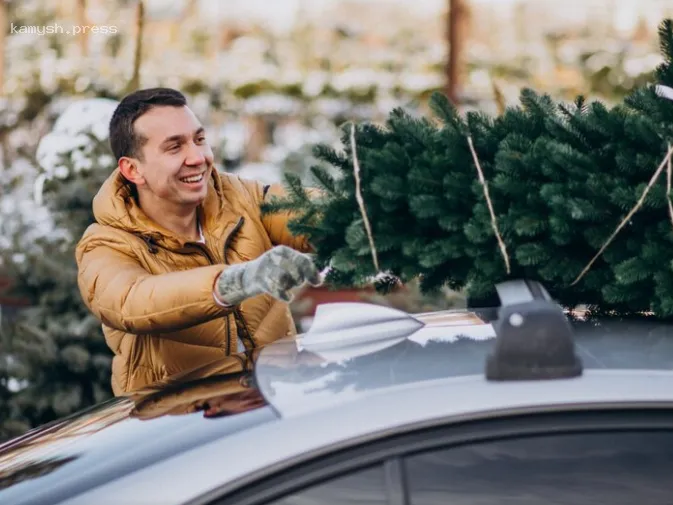 В ГАИ объяснили, за какое украшение авто можно получить штраф