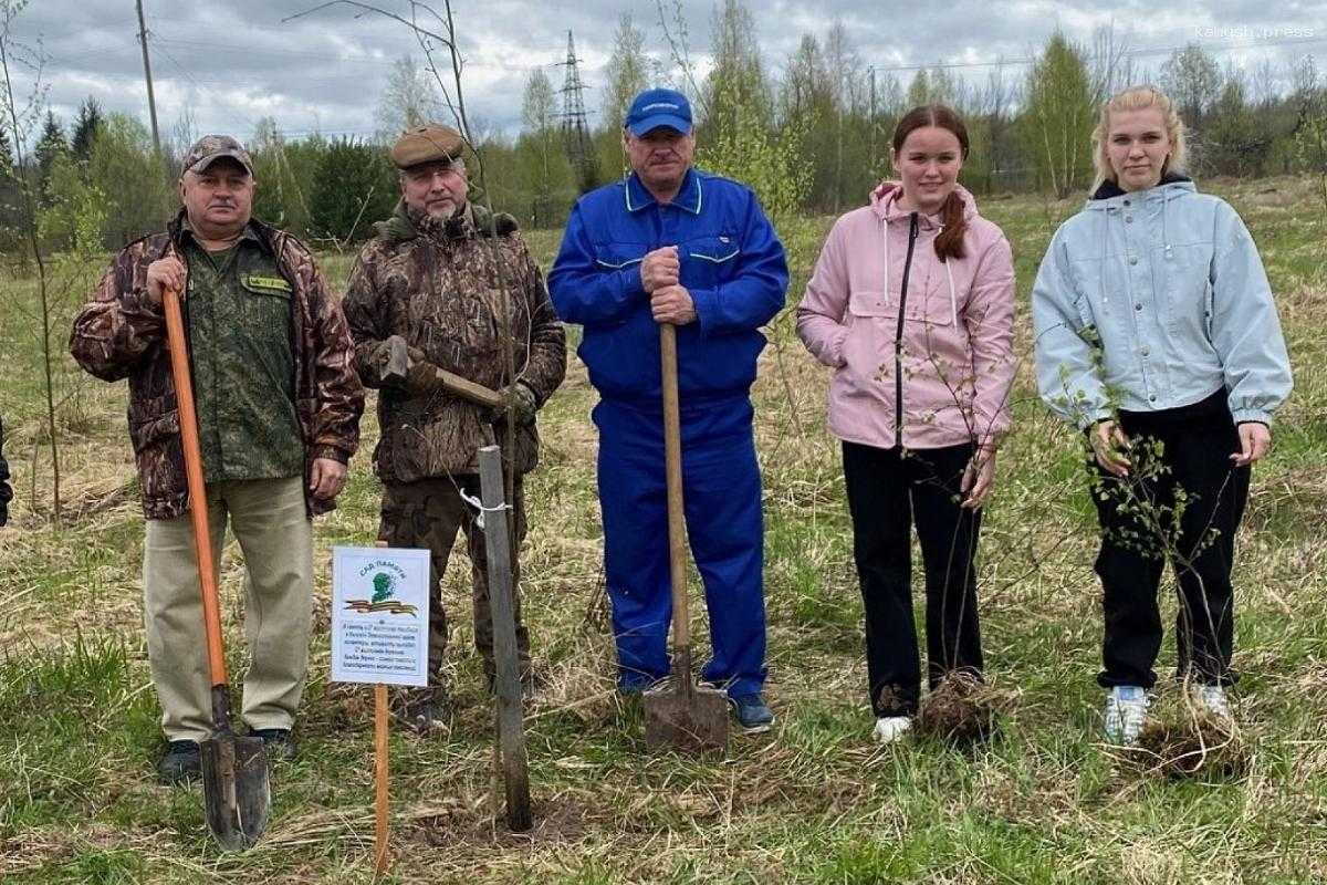 В память о погибших защитниках на тверской земле вырастят миллионы новых деревьев