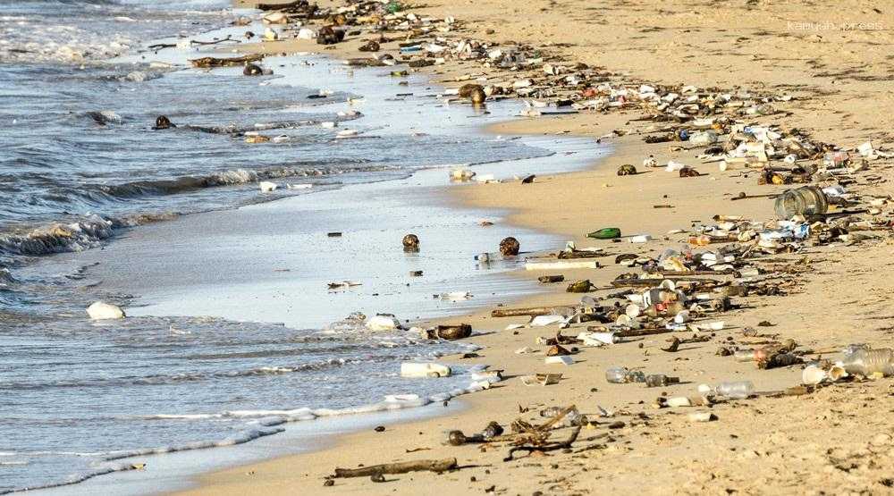 В России научили нейронную сеть распознавать специфические виды мусора на побережьях