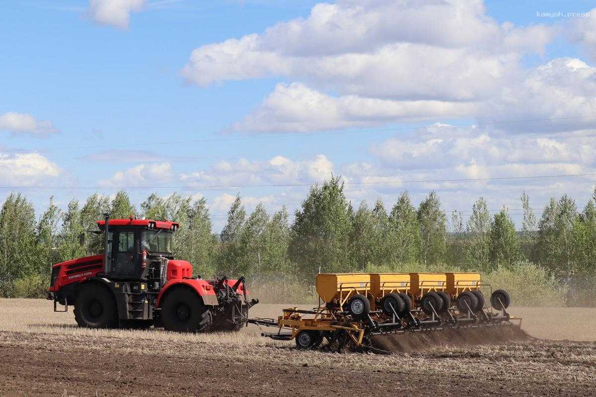 Паводок и другие проблемы не помешают Курганской области собрать крупный урожай
