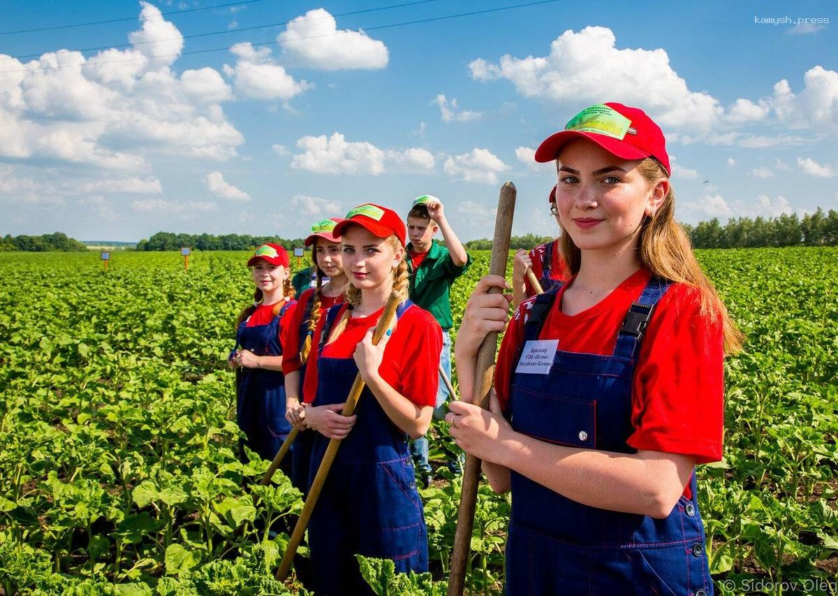 В Калмыкии работу помогли найти более 300 школьникам